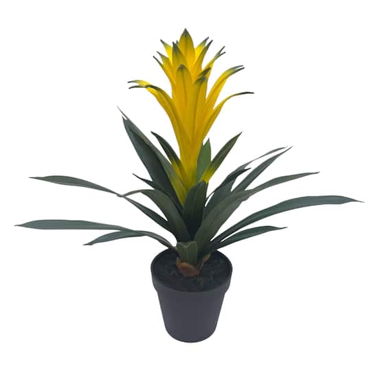 18" Potted Bromeliad Plant by Ashland®